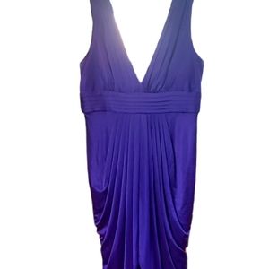 NWOT  BCBG MACAZRIA Gorgeous Purple Dress